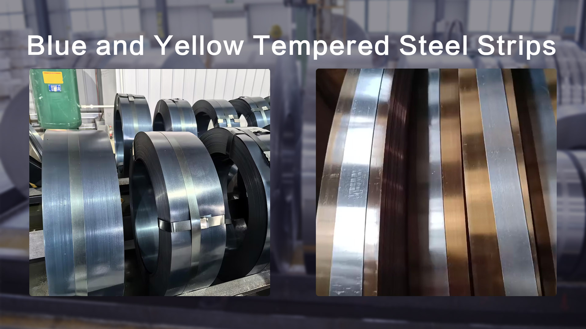 Blue & Yellow Tempered Strips